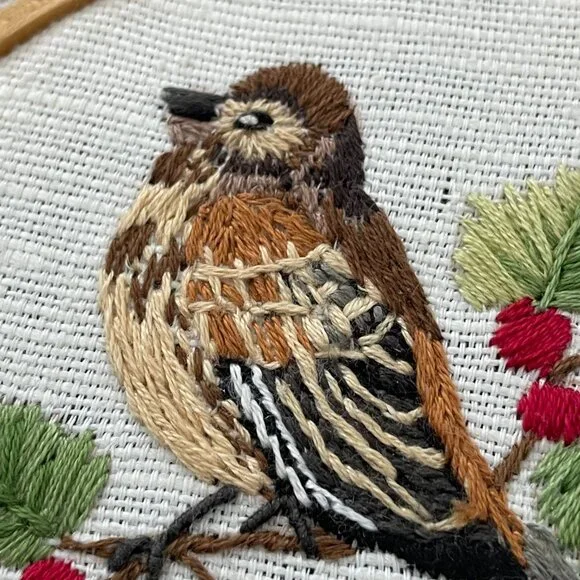 Handmade Birds Embroidery Hoop Art Wall Hanging Lace Needlepoint Sparrow Finch - Picture 4 of 13